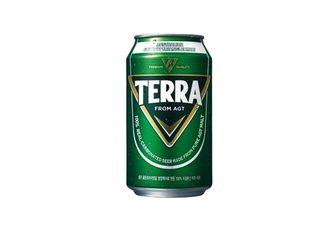 Cerveza Terra